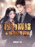 权力巅峰从借调纪委开始